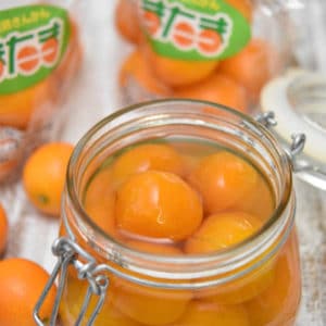 宮崎県産ニラ使用｜豚ロースソテーのトマトニラソースかけ