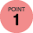 icon-point1-1-r