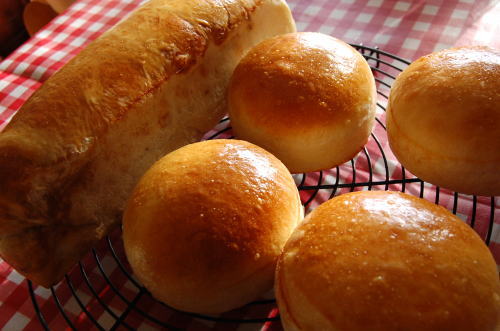 キャラメルパン＆バンズパン