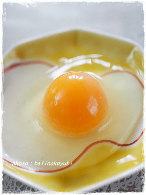 冷凍卵６