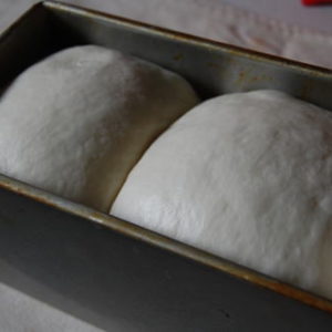 ホシノ天然酵母de山型パン